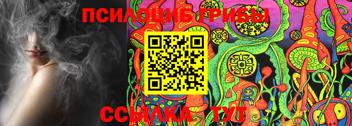 Псилоцибиновые грибы Psilocybe Озёрск