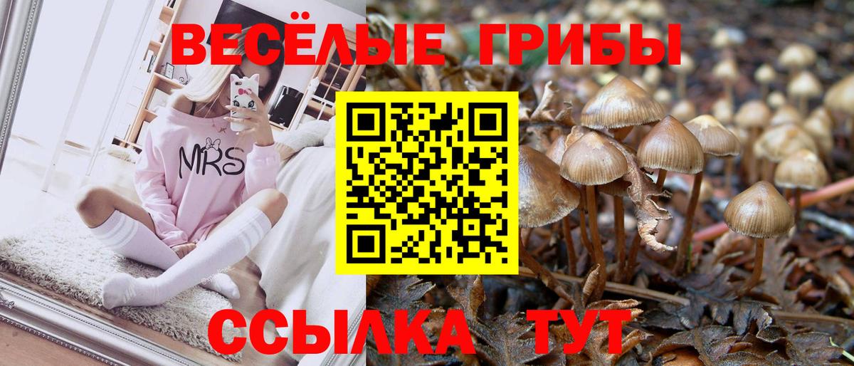 Озёрск  Галлюциногенные грибы GOLDEN TEACHER  Псилоцибиновые грибы Magic Shrooms  Вход с VPN 